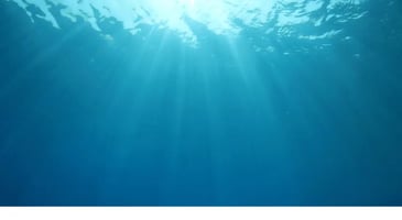 Persönlichkeitstest: Human Design oder Deep O.C.E.A.N. im Vergleich