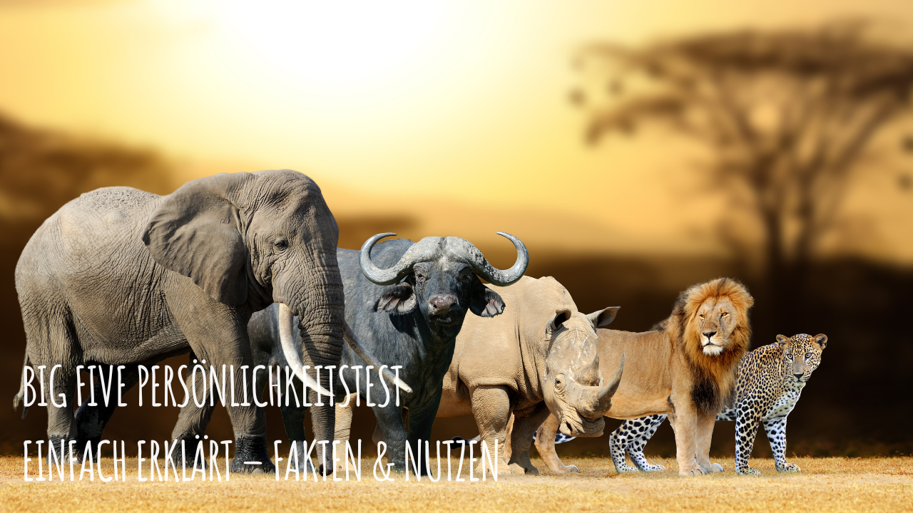 Big Five Persönlichkeitstest einfach erklärt – Fakten & Nutzen